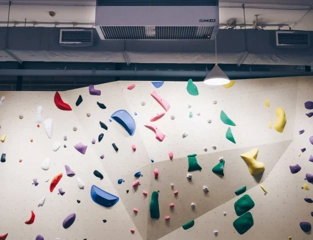 Electrostatic+airfilter+climbing